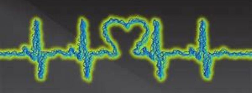 The Jolt  in Your Veins